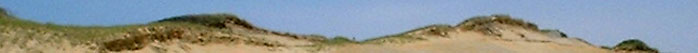 Truro Dunes
