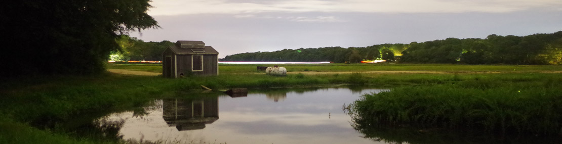 Falmouth Cranberry Bogs